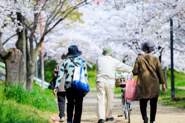 介護支援で使いやすい高齢者向け家事代行業者おすすめ5選｜1人で悩まなくて大丈夫