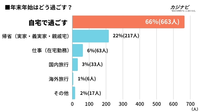 年末年始の過ごし方のグラフデータ